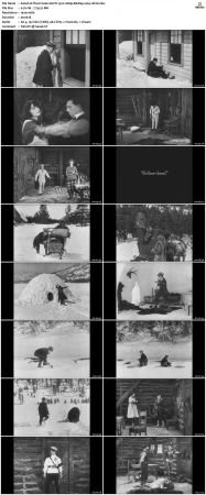 The Frozen North 1922 1080p BluRay x264-nikt0