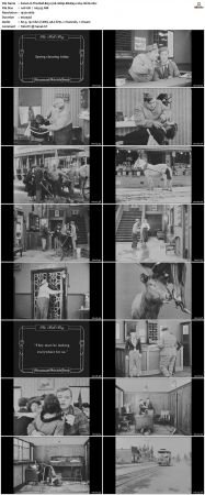 The Bell Boy 1918 1080p BluRay x264-nikt0