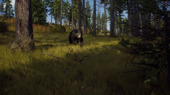 Way of the Hunter v1.20 + Hunter’s Pack DLC + Windows 7 FixFitGirl Repack