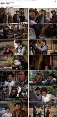 Support Your Local Sheriff 1969 1080p BluRay Flac1 0 x265 HEVC-Nb8