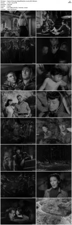 China 1943 1080p BluRay Flac 2.0 x265 HEVC-Nb8