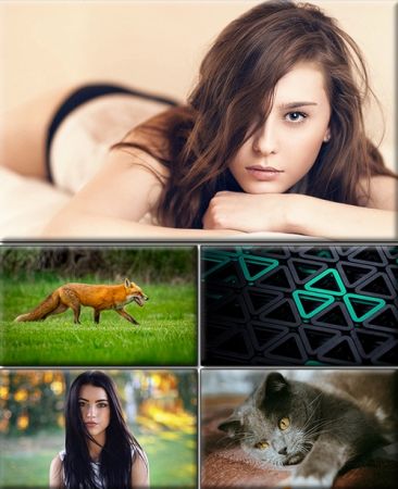 Computer Desktop Wallpapers Collection. Part (2881)
