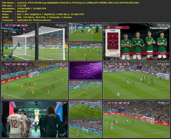 FIFA World Cup Highlights S2022E11 FIFA Day11 1080p RTE WEB-DL H 264-TEiLiFiS