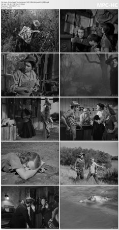 The Southerner 1945 1080p BluRay x265-RARBG