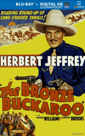 The Bronze Buckaroo 1939 1080p BluRay x264-nikt0