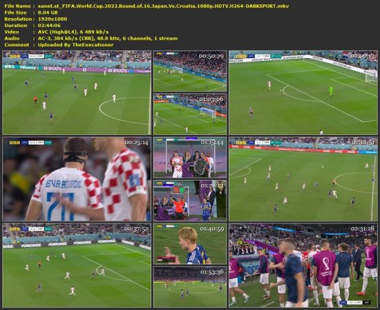 FIFA World Cup 2022 Round Of 16 Japan Vs Croatia 1080p HDTV H264-DARKSPORT
