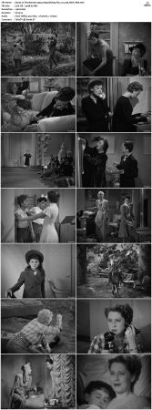 The Women 1939 1080p BluRay Flac 1.0 x265 HEVC-Nb8