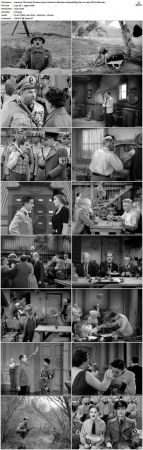 The Great Dictator 1940 Criterion Collection 1080p BluRay Flac 1.0 x265 HEVC-Nb8
