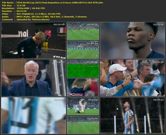 FIFA World Cup 2022 Final Argentina vs France World Feed 1080i HDTV H 264-BTN