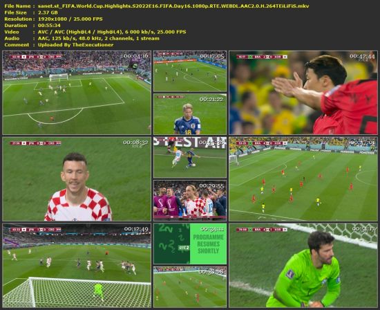 FIFA World Cup Highlights S2022E16 FIFA Day16 1080p RTE WEB-DL H 264-TEiLiFiS