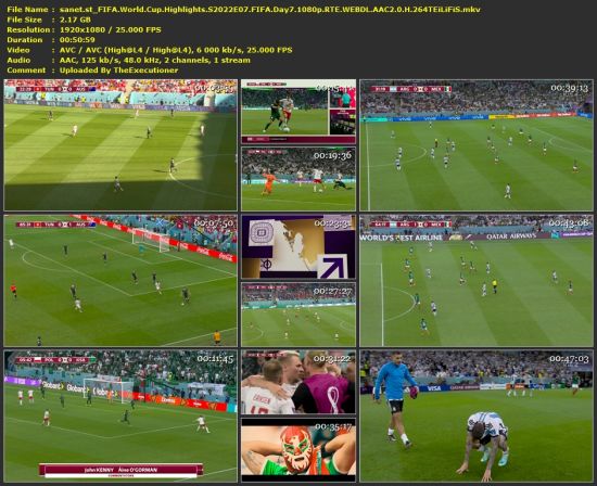  FIFA World Cup Highlights S2022E07 FIFA Day7 1080p RTE WEB-DL H 264-TEiLiFiS