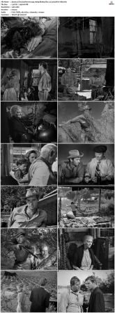 The Southerner 1945 1080p BluRay Flac 2.0 x265 HEVC-Nb8