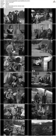 Overland Stage Raiders 1938 720p BluRay x264-x0r