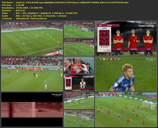 FIFA World Cup Highlights S2022E12 FIFA Day12 1080p RTE WEB-DL H 264-TEiLiFiS