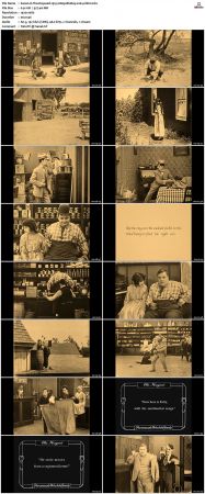 The Hayseed 1919 1080p BluRay x264-nikt0