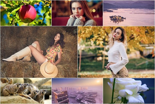 Mixed Desktop Wallpapers - Part 1624