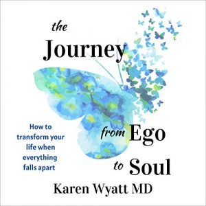 The Journey from Ego to Soul: How to Transform Your Life When Everything Falls ApartAudiobook