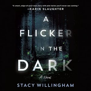A Flicker in the Dark: A NovelAudiobook