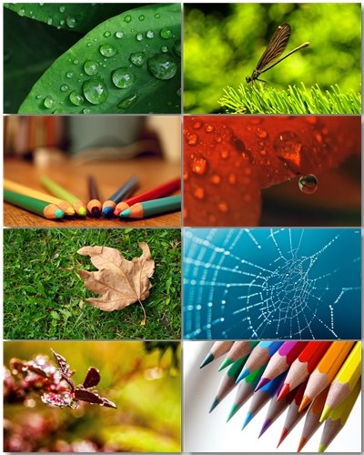 Marco Pictures (Pack 3)