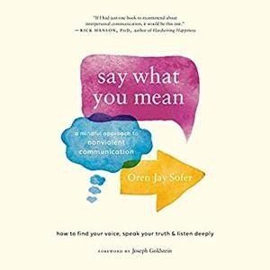 Say What You Mean by Oren Jay SoferAudiobook
