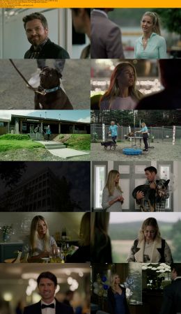 The Dog Lovers Guide To Dating 2023 1080p WEBRip x264 AAC5.1-YTS
