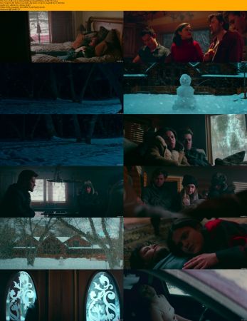Snow Falls 2023 1080p WebRip X264-Will1869