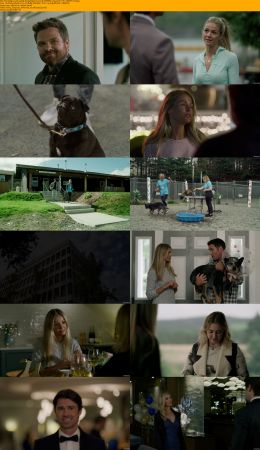 The Dog Lovers Guide To Dating 2023 720p WEBRip x264 AAC-YTS