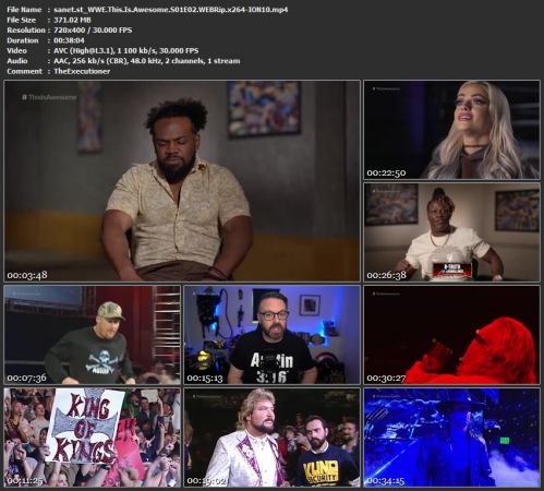 WWE This Is Awesome S01 WEBRip x264-ION10