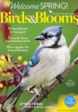 Birds &amp; Blooms - February/March 2023 (True PDF)