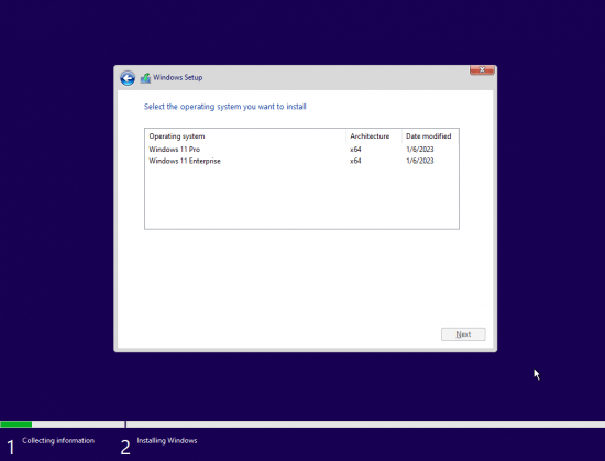 Windows 11 Pro &amp; Enterprise Insider Preview Build 22623.1095 x64 Pre-Activated (No TPM Required) 2022