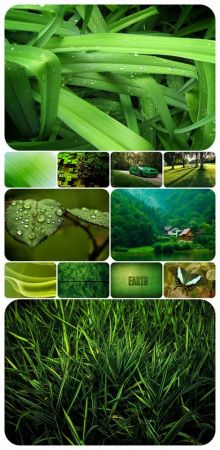 Wallpaper pack - Green