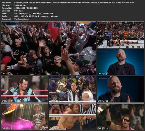 WWE This Is Awesome S01 1080p WWEN WEB H264-BTN