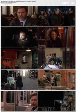 The Fugitive 1993 1080p BluRay 10Bit HEVC DTS-HD MA 5.1-jmux