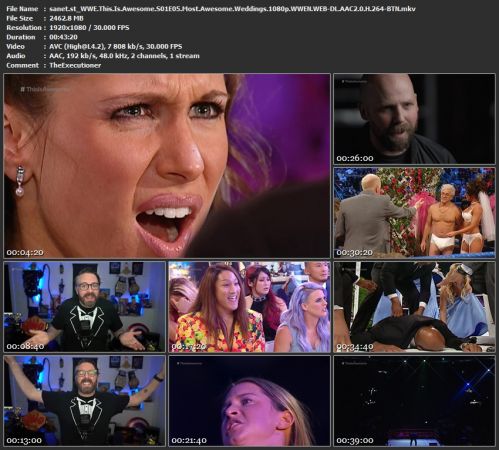 WWE This Is Awesome S01 1080p WWEN WEB H264-BTN
