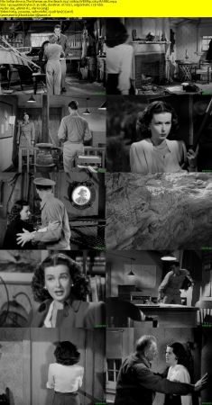 The Woman on the Beach 1947 1080p WEBRip x264-RARBG