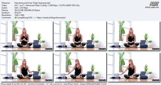 The Collective Yoga - Hamstring and Inner Thigh Opening