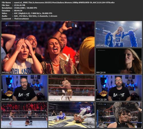 WWE This Is Awesome S01 1080p WWEN WEB H264-BTN