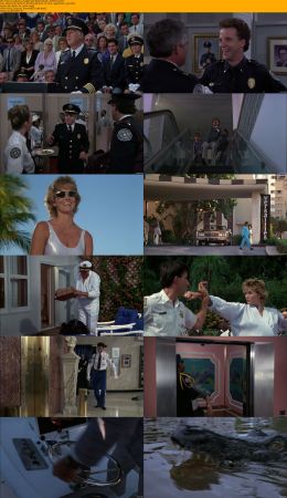 Police Academy Collection 1080p BRRip x264 DTS DiVERSiTY