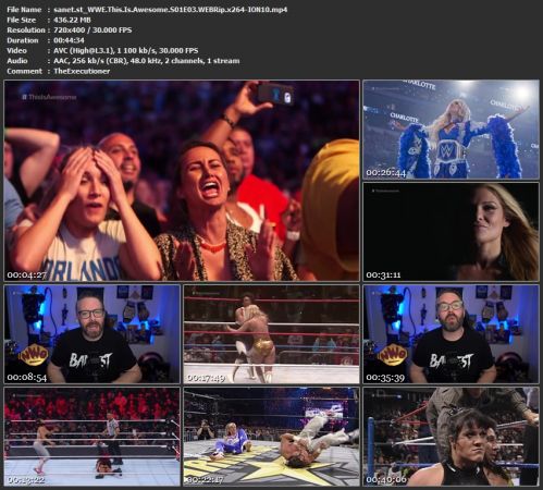 WWE This Is Awesome S01 WEBRip x264-ION10