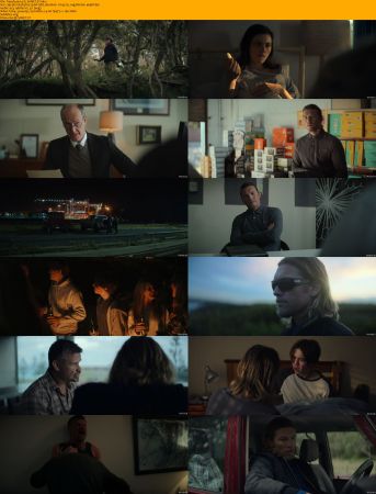 Transfusion 2023 1080p WEBRip x264 AC3 DiVERSiTY