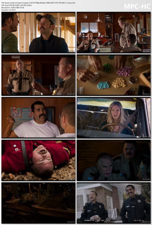 Super Troopers 2 2018 1080p BluRay 10Bit HEVC DTS-HD MA 5.1-jmux