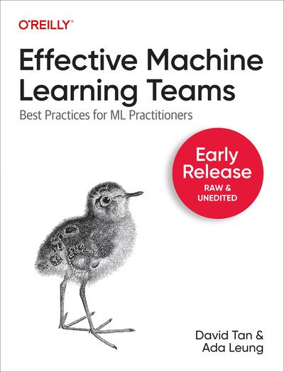 Effective Machine Learning Teams (Early Release)