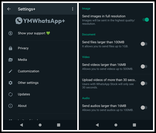 YMWhatsApp+ v29.0