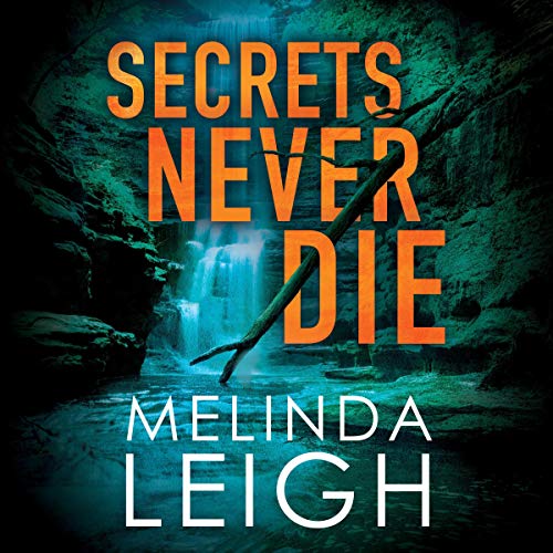 Secrets Never Die: Morgan Dane, Book 5Audiobook