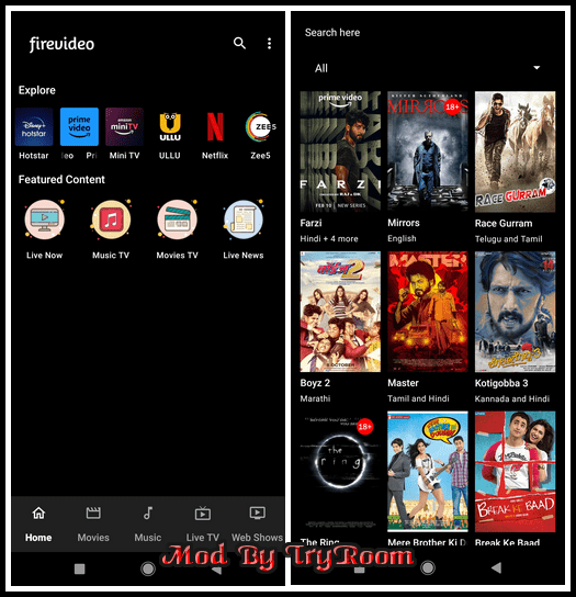 Fire Video v13.4