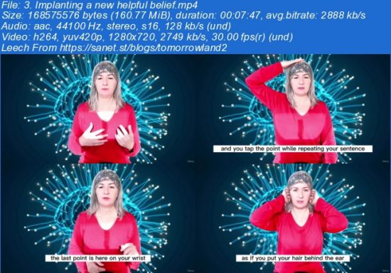 Initiation To Neuropuncture (English version)