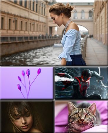 Computer Desktop Wallpapers Collection. Part (2897)