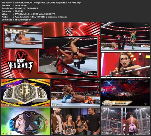 WWE NXT Vengeance Day 2023 720p WEB h264-HEEL