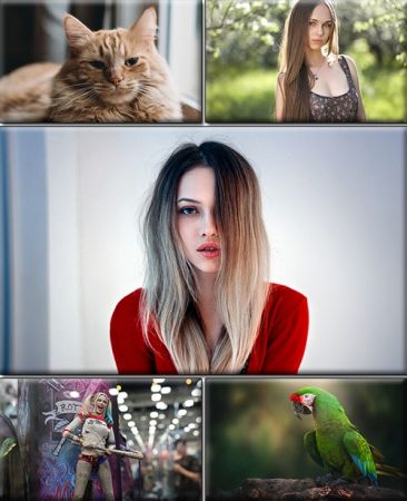 LIFEstyle News MiXture Images. Wallpapers Part (1954)