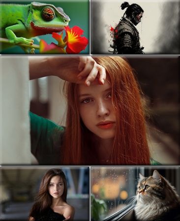 LIFEstyle News MiXture Images. Wallpapers Part (1955)